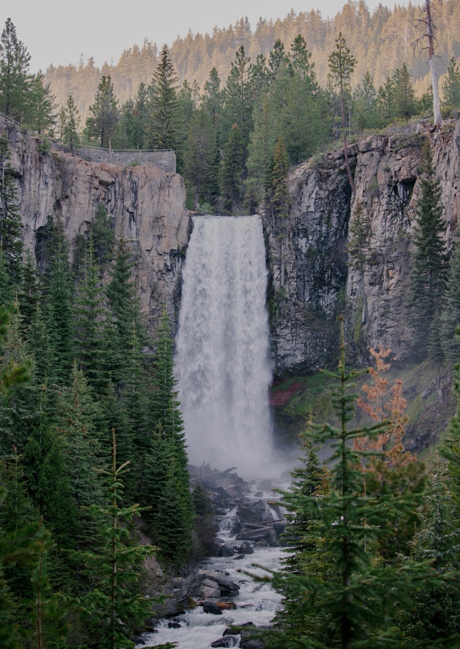 Waterfall through old-growth forest